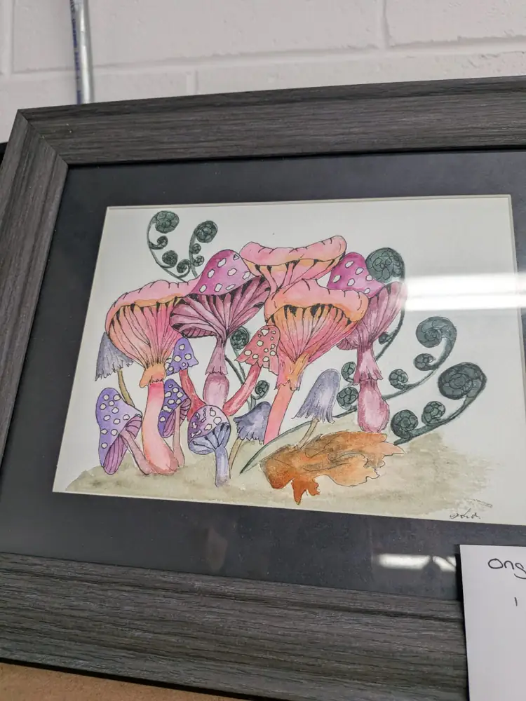 Framed original watercolours
